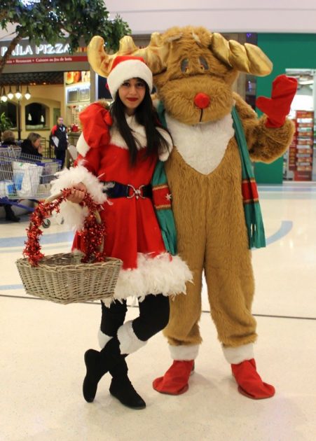 mascotte et deguisement de noel