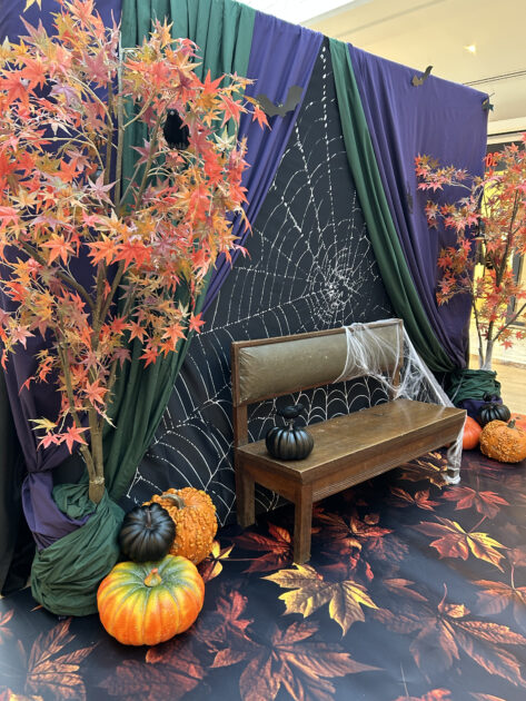 Animation Halloween - Agence Mondapar